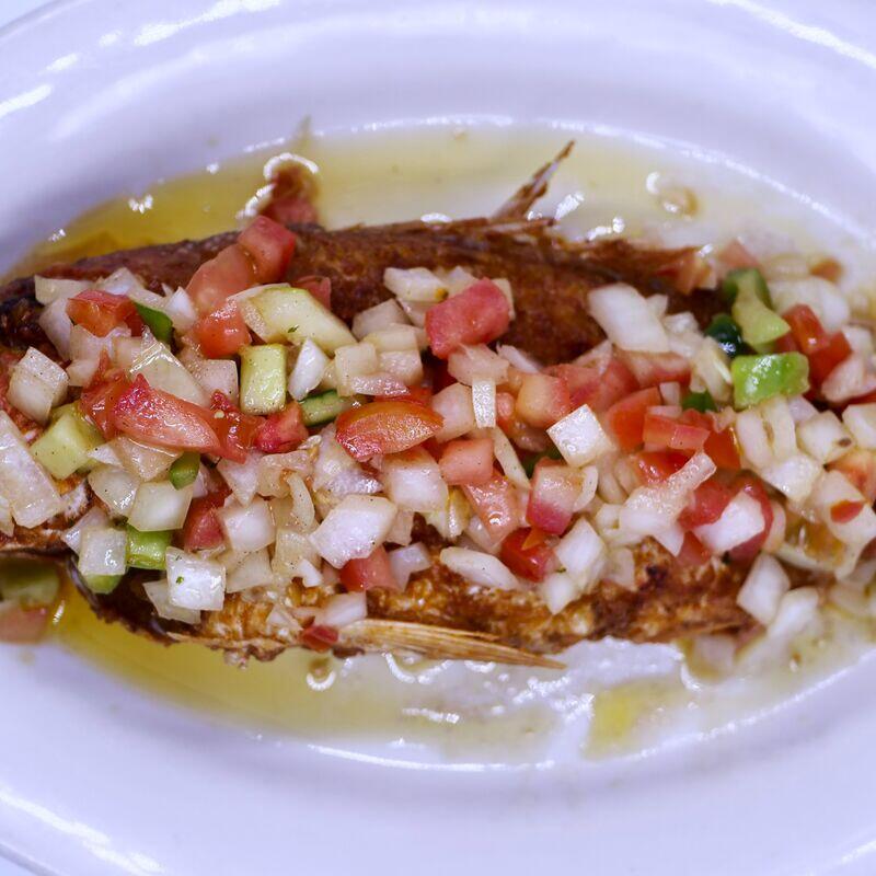 RED SNAPPER